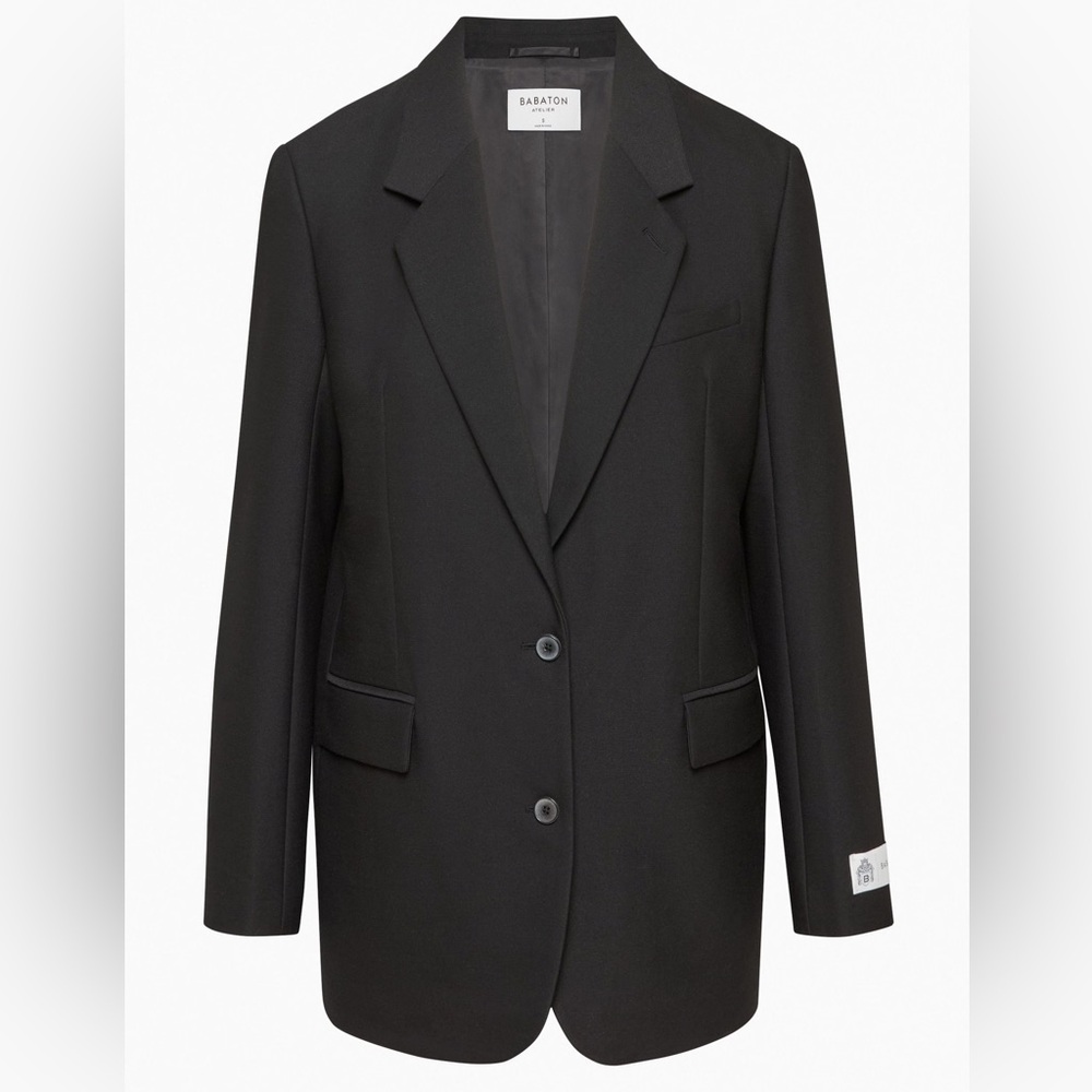 Aritzia Babaton New Agency Blazer